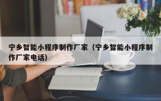 佛山宁乡智能小程序制作厂家（宁乡智能小程序制作厂家电话）